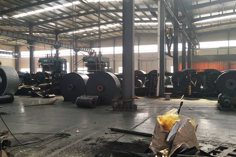 Productio Processus Flexilis Conveyor Belts