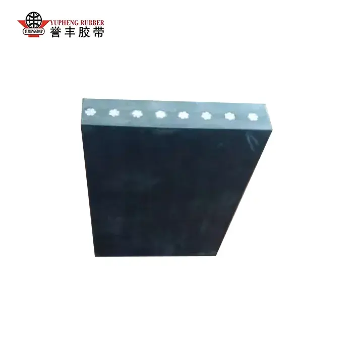 Calor Repugnans Ferro Funiculus Conveyor Belt