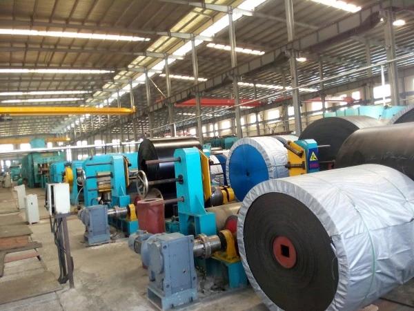 NN Conveyor Belt