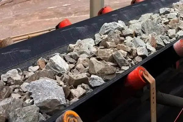 Special Performance Conveyor Belt