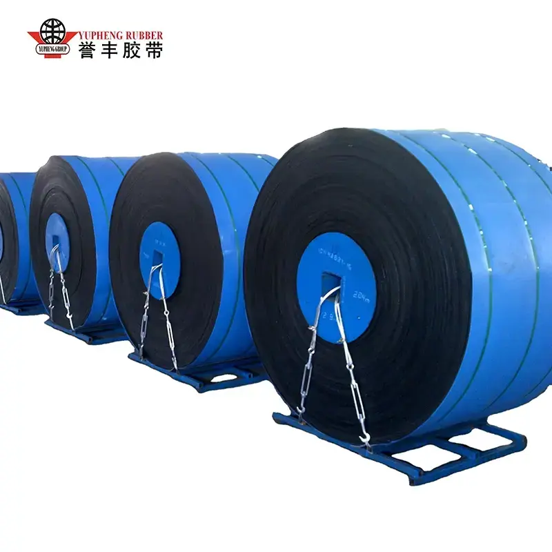 Oleum resistens TRADUCTOR Belt