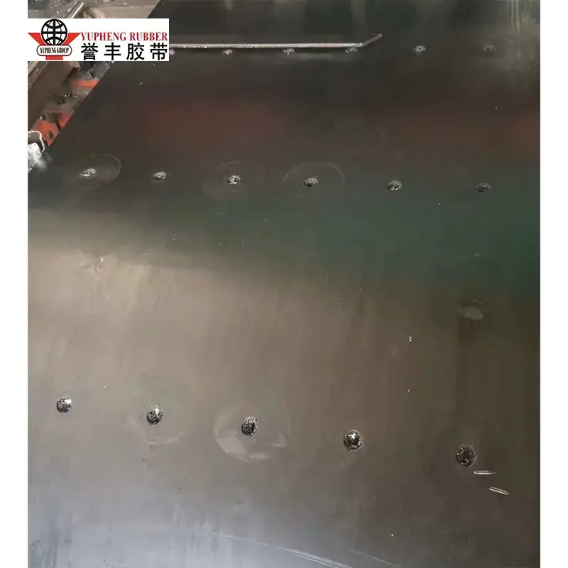 Ferrum Cordis Situla Elevator Belt